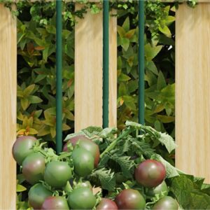 Záhradné kolíky 30 ks zelené 115 cm oceľ